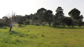 Land for sale in Sardoal, Portugal — €75,000