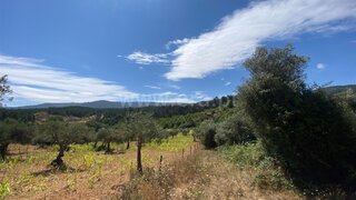 Land for sale in Fundão, Portugal — €7,500