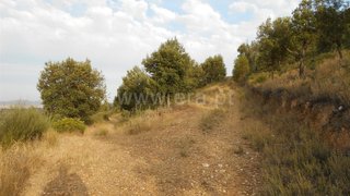 Land for sale in Idanha-a-Nova, Portugal — €115,000