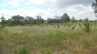Land for sale in Cantanhede, Portugal — €45,000