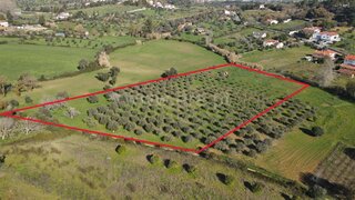 Land for sale in Tomar, Portugal — €38,000