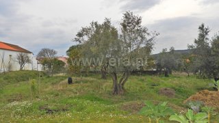 Land for sale in Chamusca, Portugal — €30,000