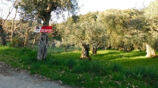 Land for sale in Fundão, Portugal — €6,500