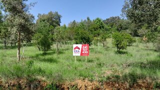 Land for sale in Abrantes, Portugal — €13,000