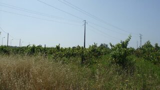 Land for sale in Cantanhede, Portugal — €500,000