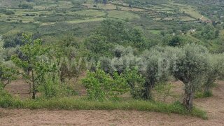 Land for sale in Gouveia, Portugal — €35,000