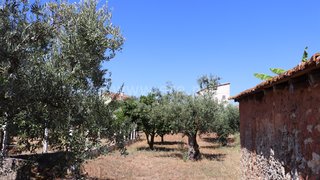Terreno para venda em Ourém, Portugal — 25 000 €