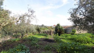 Land for sale in Ourém, Portugal — €39,000
