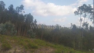 Land for sale in Ourém, Portugal — €5,000