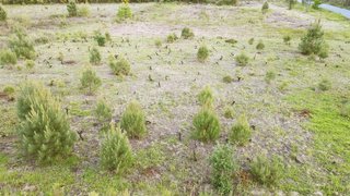 Land for sale in Ourém, Portugal — €17,000