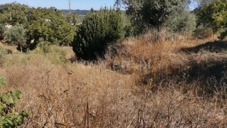 Land for sale in Ourém, Portugal — €20,000