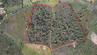 Land for sale in Castelo Branco, Portugal — €120,000