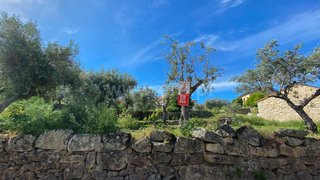 Land for sale in Fundão, Portugal — €27,380