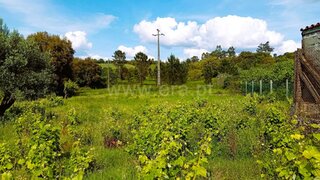 Land for sale in Tomar, Portugal — €40,000