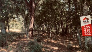Land for sale in Tábua, Portugal — €40,000