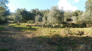 Land for sale in Fundão, Portugal — €24,500