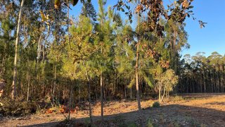 Land for sale in Cantanhede, Portugal — €115,000