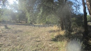Land for sale in Penamacor, Portugal — €3,500