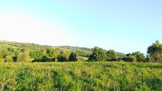 Terreno de 12 560 m² em Santarém