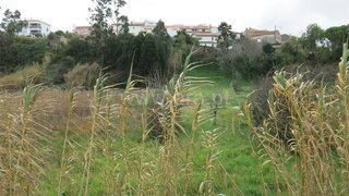 Land for sale in Figueira da Foz, Portugal — €433,000