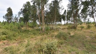 Terreno de 1950 m² em Coimbra