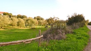 Land for sale in Santarém, Portugal — €120,000