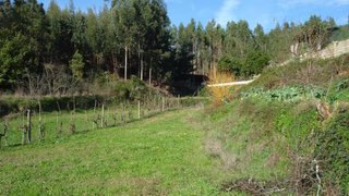 Land for sale in Penacova, Portugal