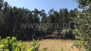 Land for sale in Ourém, Portugal — €8,200