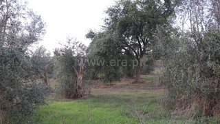 Land for sale in Sardoal, Portugal — €40,000