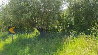 Land for sale in Ourém, Portugal — €25,000