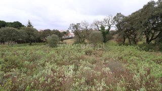 Land for sale in Ourém, Portugal — €200,000