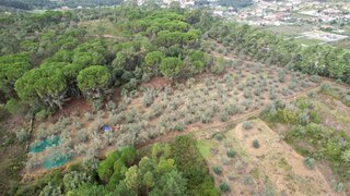 Land for sale in Ourém, Portugal — €22,000