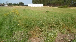 Land for sale in Montemor-o-Velho, Portugal — €16,500