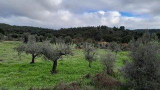 Land for sale in Mação, Portugal — €20,000