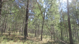 Land for sale in Penamacor, Portugal — €8,500