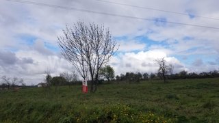 Land for sale in Seia, Portugal — €8,000