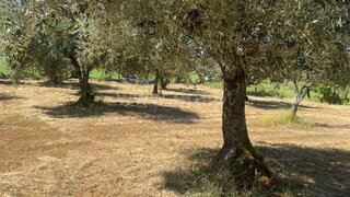 Land for sale in Covilhã, Portugal — €22,380
