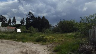 Land for sale in Mira, Portugal