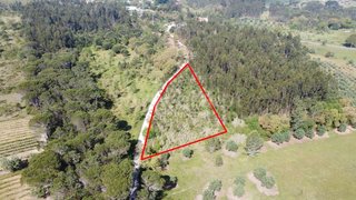 Land for sale in Cantanhede, Portugal — €6,000