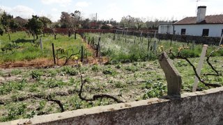Land for sale in Mira, Portugal — €40,000