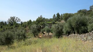 Terreno em Fornos de Algodres