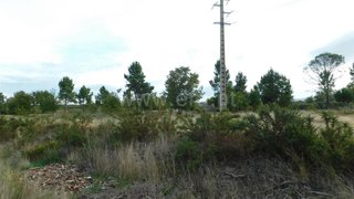 Land for sale in Seia, Portugal — €25,000