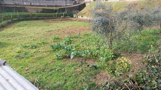 Land for sale in Arganil, Portugal — €57,000