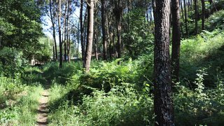 Land for sale in Ourém, Portugal — €11,500