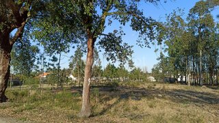 Land for sale in Cantanhede, Portugal — €30,000