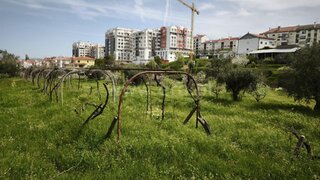 Land for sale in Fundão, Portugal — €325,000