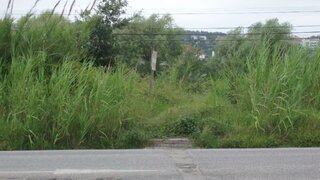 Land for sale in Soure, Portugal