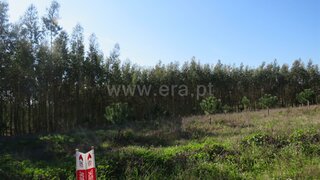 Land for sale in Rio Maior, Portugal — €77,500
