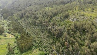 Land for sale in Rio Maior, Portugal — €10,000