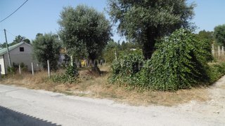Land for sale in Cantanhede, Portugal — €18,000